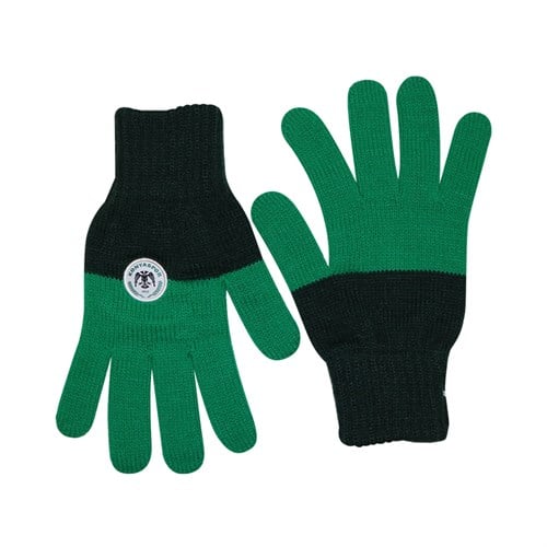 ELDİVEN LOGO İKİ RENK