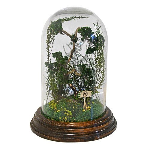 KONYASPOR CAM FANUS TAKIM