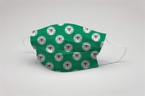 KONYASPOR TEK KULLANIMLIK YEŞİL  MASKE 10'LU